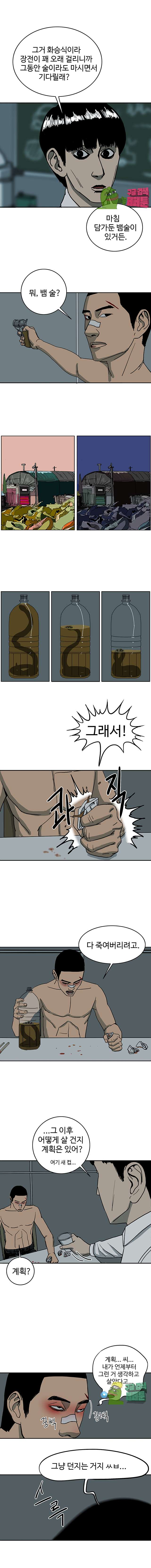 003.jpg