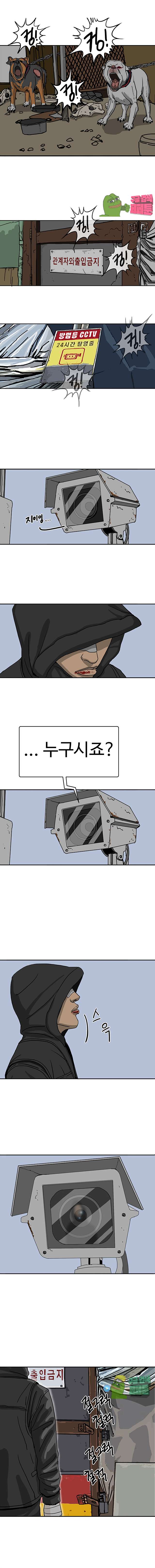 010.jpg