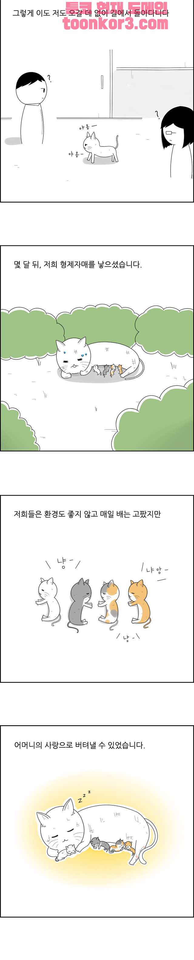 00004_by_ImageRaker.jpg