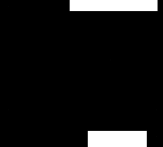 113.jpg
