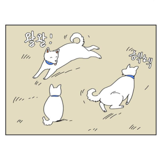 101.jpg