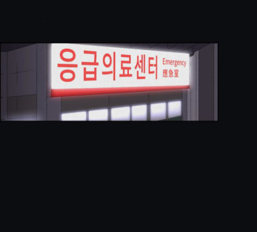 113.jpg