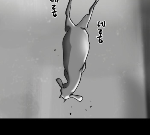 117.jpg