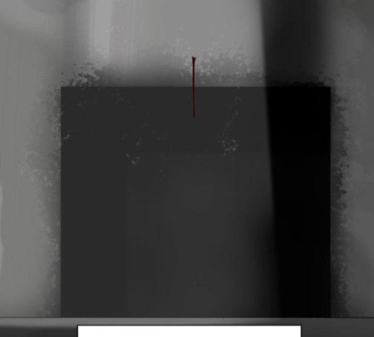 135.jpg