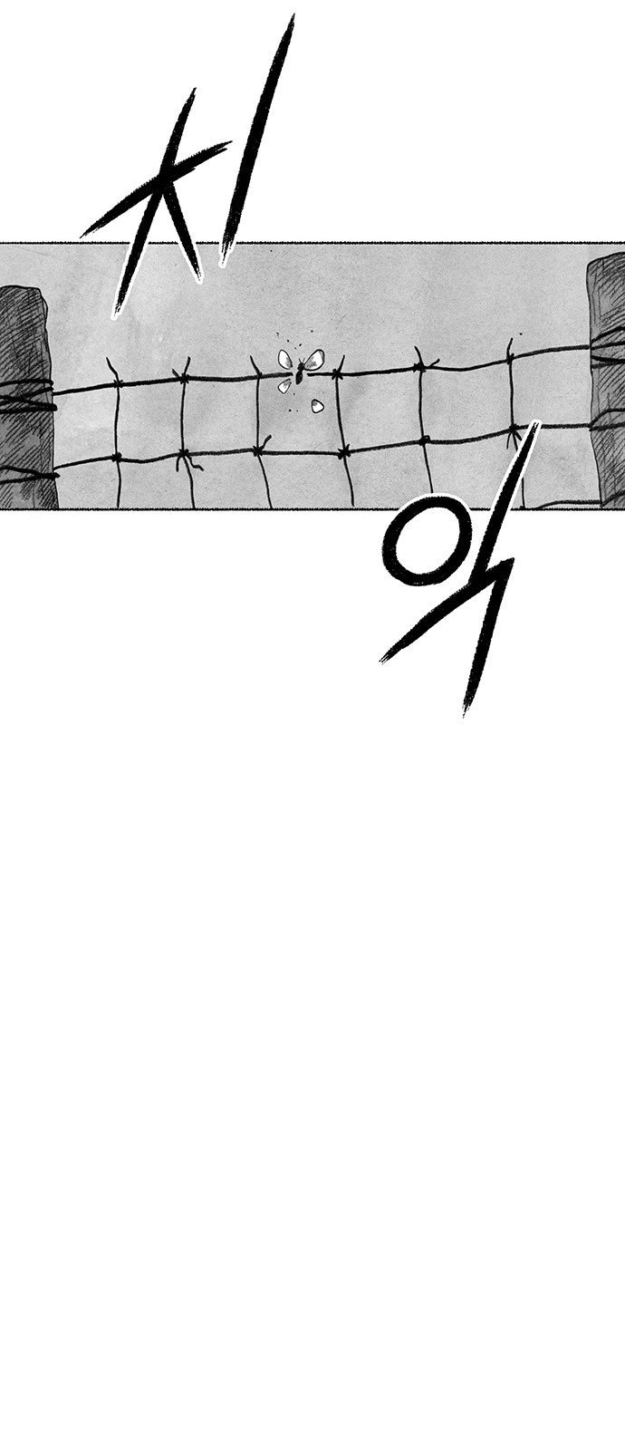 034.jpg
