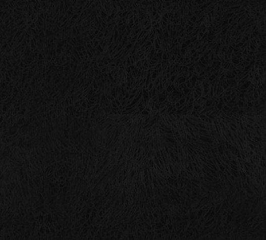 011.jpg