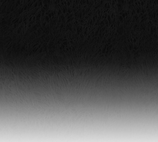036.jpg