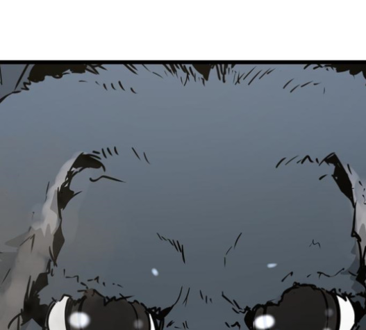 168.jpg