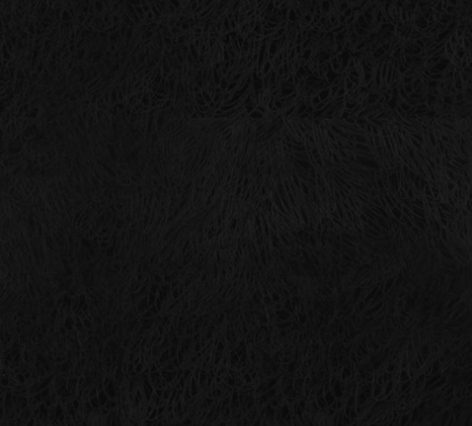 031.jpg