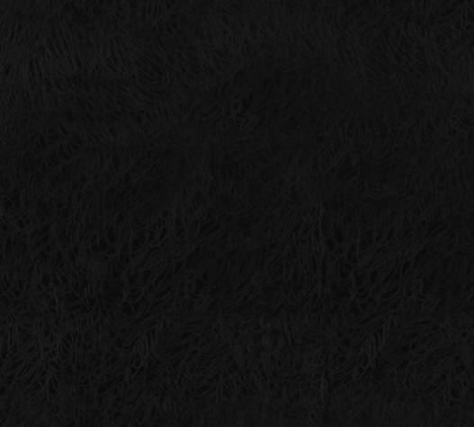 043.jpg