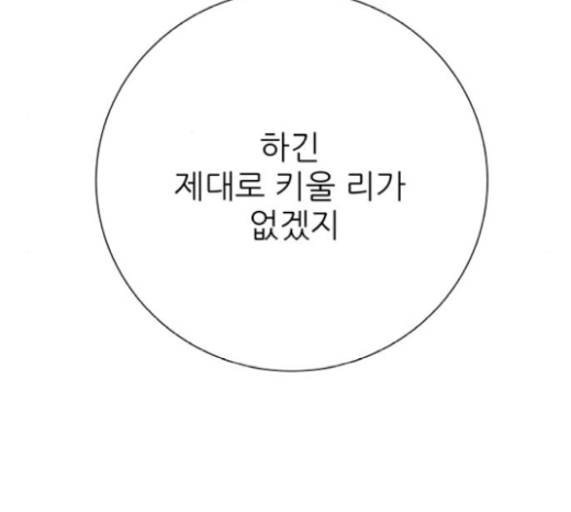 118.jpg
