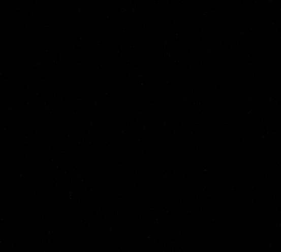 061.jpg