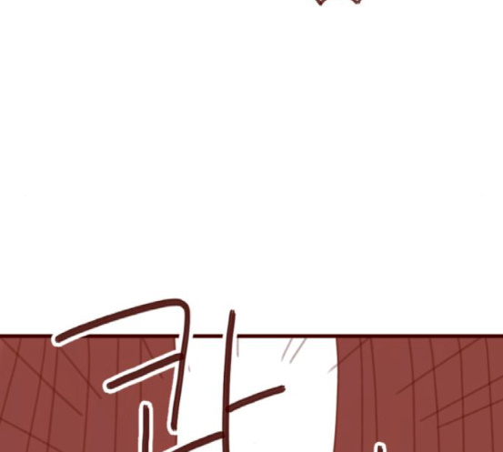 102.jpg