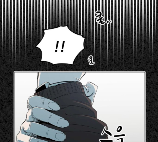 156.jpg