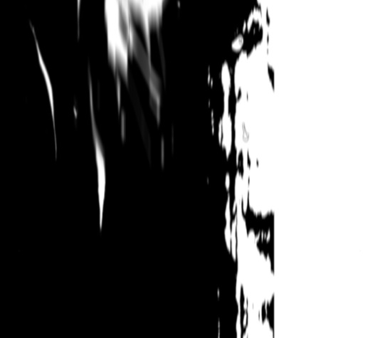 069.jpg