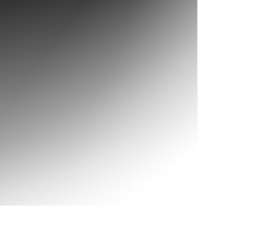 071.jpg