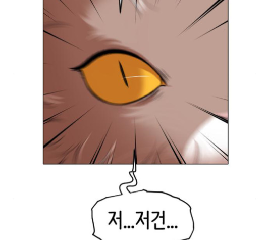 103.jpg