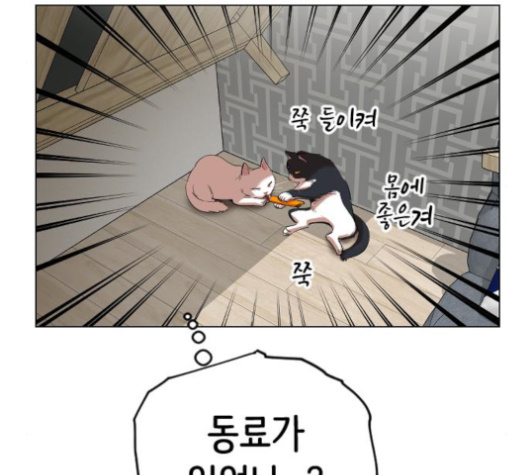 105.jpg