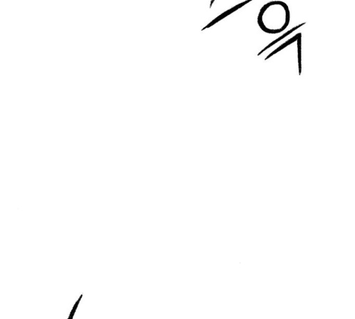 113.jpg