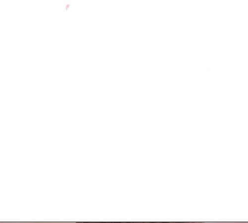 127.jpg