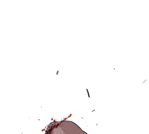293.jpg