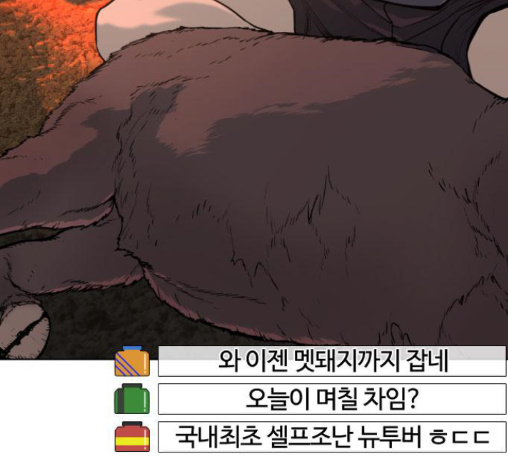291.jpg