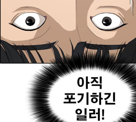 213.jpg