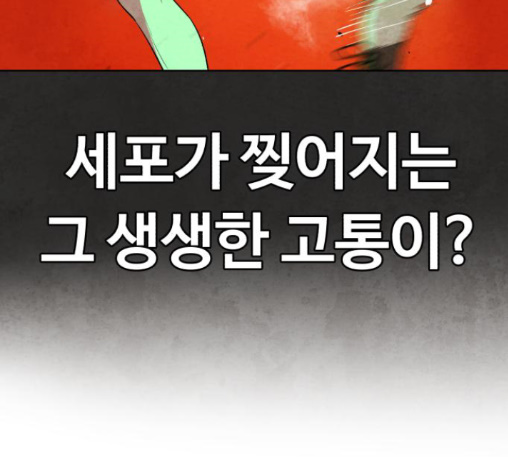 240.jpg