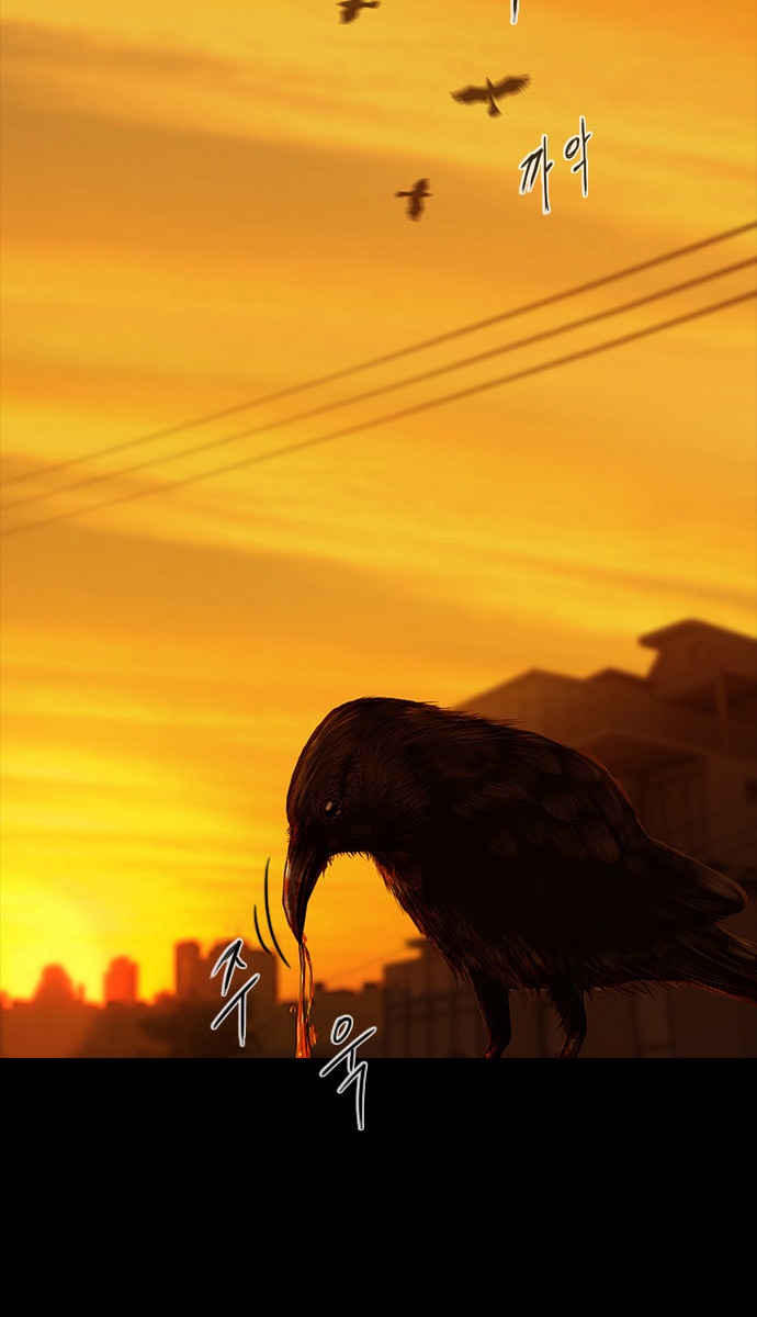 00001_by_ImageRaker_002.jpg