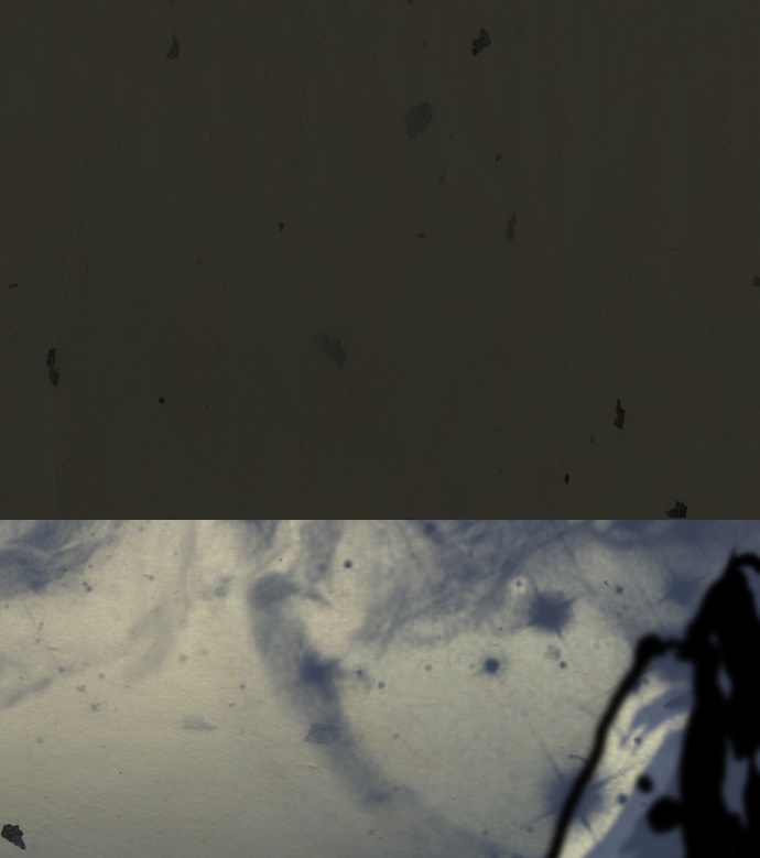 00001_by_ImageRaker_001.jpg