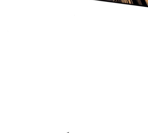 146.jpg
