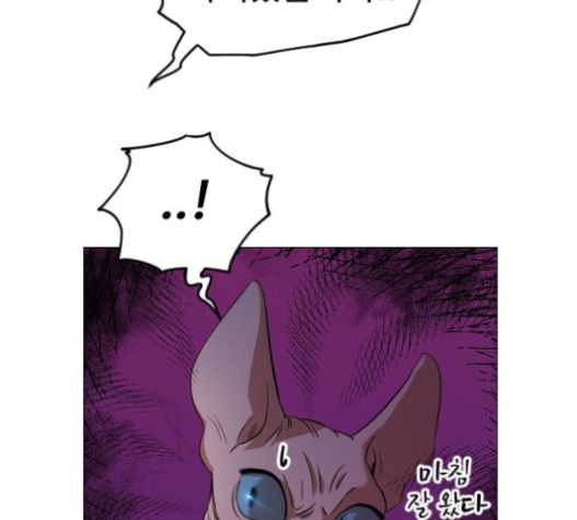 107.jpg
