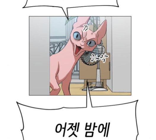 111.jpg