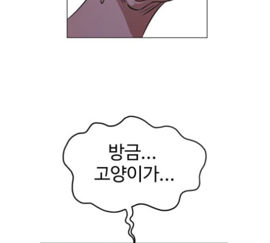 117.jpg