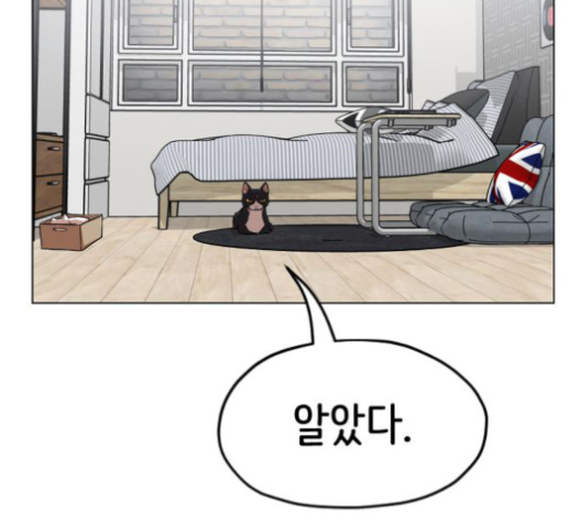 205.jpg