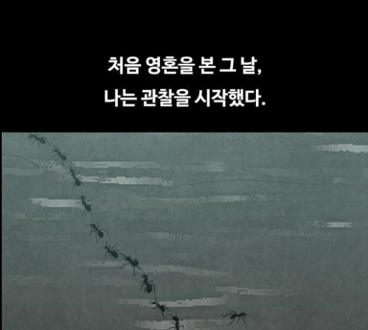 114.jpg
