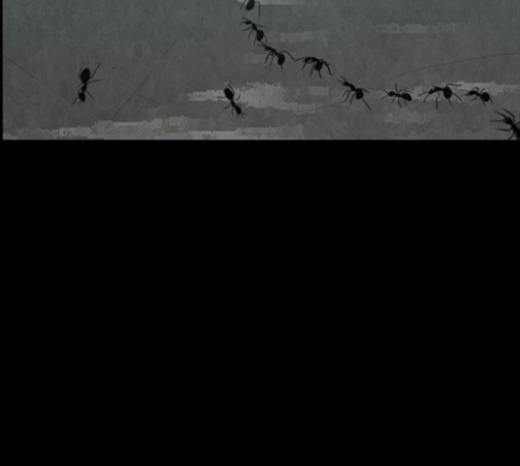 115.jpg