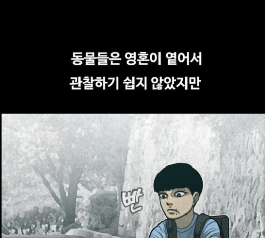 116.jpg