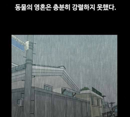 124.jpg