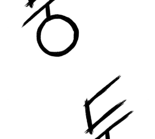 161.jpg