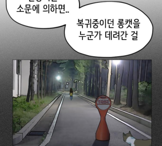211.jpg
