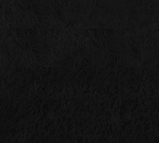 099.jpg