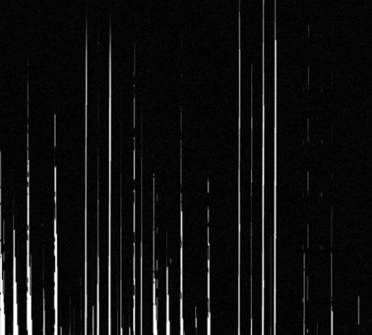 110.jpg