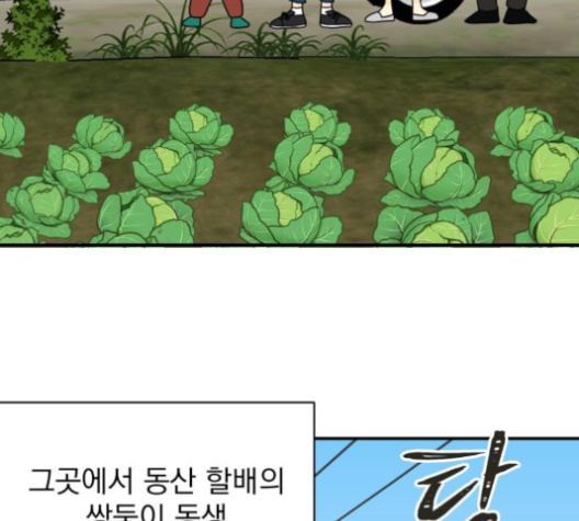 004.jpg