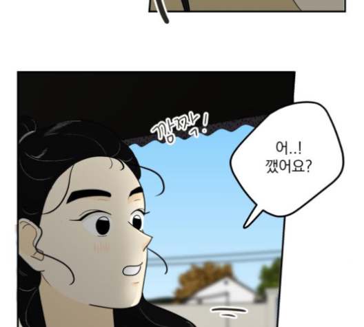 113.jpg