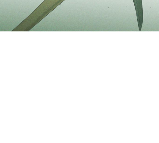 008.jpg
