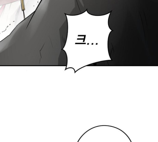 213.jpg