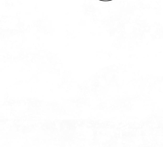 102.jpg