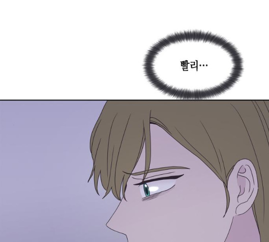 144.jpg