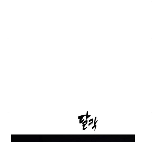 156.jpg
